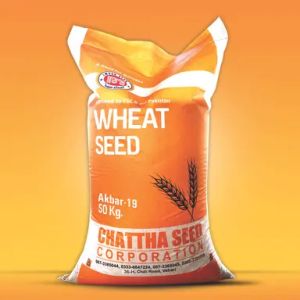 Certified Wheat Seed