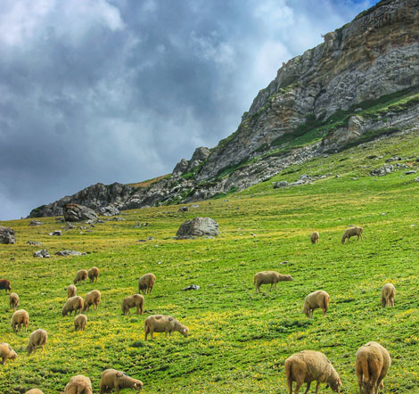 Azad Kashmir